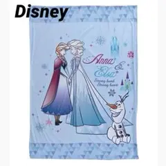 ディズニー　アナと雪の女王　掛け布団カバー　シングルロングサイズ　アナ雪　新品