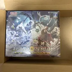 ポケモンセンター　ジムセット　スノーハザード&クレイバースト