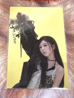 ミイヒ Sour Grapes ポストカード POPUP ポップアップ 韓国