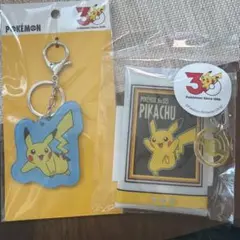 포켓몬 3COINS アクリルキーホルダー &ポーチ 피카츄 세트