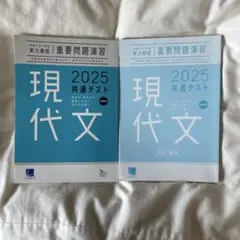 重要問題演習 2025 共通テスト 現代文