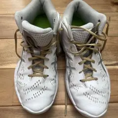 ASICS GELHOOP V14 23.0