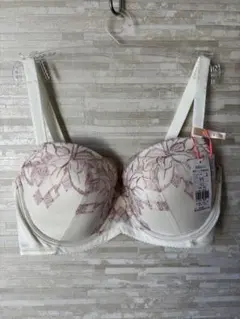 E75」 トリンプ 夢みるブラ キス ザ ミラー ブラジャー