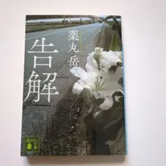 chie✨様 リクエスト 3点 まとめ商品