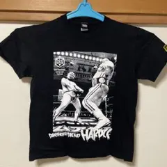 男色ディーノtシャツ　ハードコアチョコレート　ddtプロレスリング