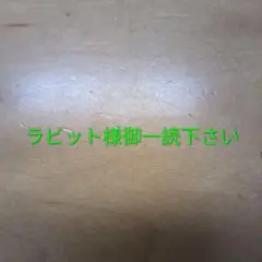 ラビット様御一読下さい