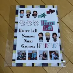 WHITEJAM ステッカーシート