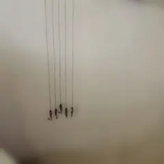 ピクチャーワイヤー　5本