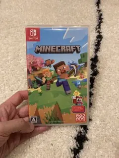 Minecraft Nintendo Switch マイクラ