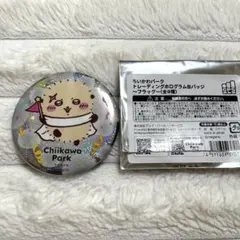 ちいかわパーク トレーディングホログラム缶バッジ フラッグ ラッコ
