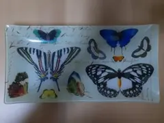Fringe Studio　蝶のガラストレイ