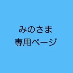 みのさま専用　オーダー2点
