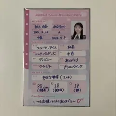 AKB48 秋山由奈 なんてったってAKB48 プロフ帳風カード ポスカ