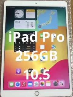 ❗️週末セール❗️iPad Pro10.5 256GB (10)