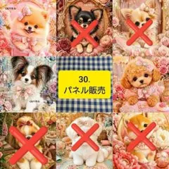 限定10枚！ レアパネル生地 無くなり次第終了です ポメラニアンパネル