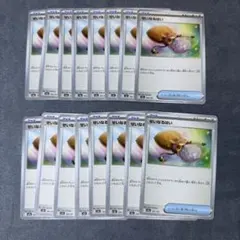 せいなるはい　ノーマル　13枚セット