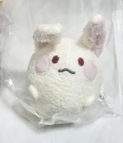 東京ディバンカー ピカブー