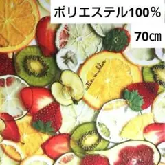 ポリエステル生地 astin muhler フルーツ柄 70㎝×145㎝巾