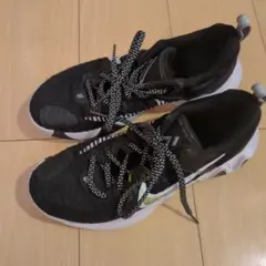 Item thumbnail for item ae32808b-9dfe-4c52-b88e-feb27f8bc6a1