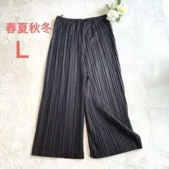 ブラックプリーツワイドパンツ　ウェスト総ゴム　春夏秋冬　やったり　らくらく　Ｌ