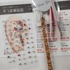 耳つぼジュエリー　スターターセット　初心者セット　耳つぼ60粒