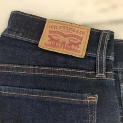 Levi's ストレートデニム インディゴ27インチ股下71センチ