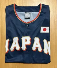 日韓ドリームプレイヤーズゲーム 2025エスコン限定ユニホーム