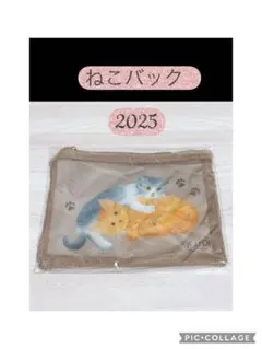 KALDI 猫のメッシュポーチ ネコの日2025