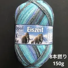 NEW オパール毛糸　アイスエイジ　8本撚り　150g 11571 氷の洞窟