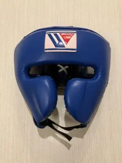 Item thumbnail for item 1247caa5-d659-4de7-8b2b-b76eb6315aec