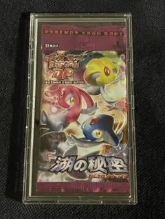 【即日発送】ポケカ 湖の秘密 新品未開封 状態A-〕湖の秘密スペシャルパック【未開封パック】{-}