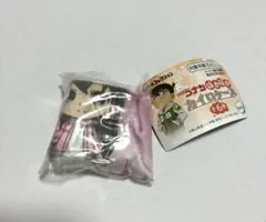 名探偵コナン ほかほかカイロケース　毛利蘭