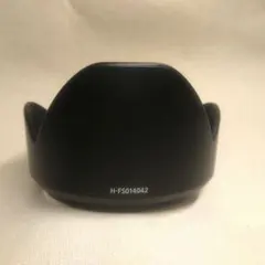 Item thumbnail for item 259a3886-c222-41ed-992a-43c9611bf524