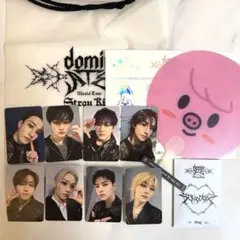 straykids スキズ STAYZONE コンプ トレカ トェッキ 9/1