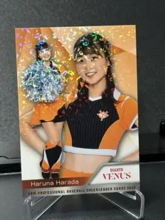 BBMプロ野球チアリーダーカード2025 原田遥南 ホロ版