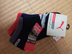 靴下 キッズ レッグウェア