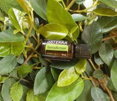 ❗️破格 誤開封 未使用】ドテラ アロマタッチ 15ml 期限26年7月