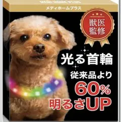 Item thumbnail for item 8cc9dac7-a3fa-4728-8253-dbc91932cf0f