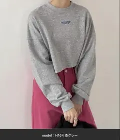 エピミエピミー　ショートスウェット　スウェット　ロゴ　チビロゴ　春物　グレーのサムネイル