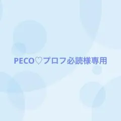 【13番目対応】PECO♡プロフ必読様専用