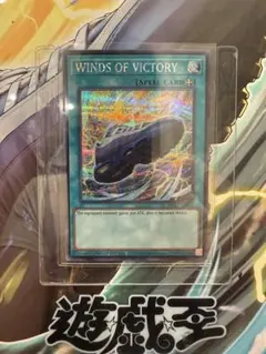 2025年最新】スニダン カードの人気アイテム - メルカリ