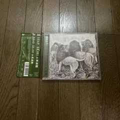 S.O.A.P./S.S.J.B.F. in 武道館 LIVE DVD V系