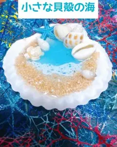 貝殻と海をモチーフにした貝殻レジンアートのサムネイル