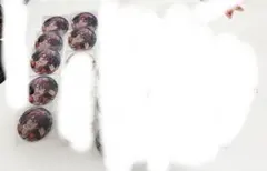 ŹOOĻ 御堂虎於 16PRODUCERS 缶バッジ