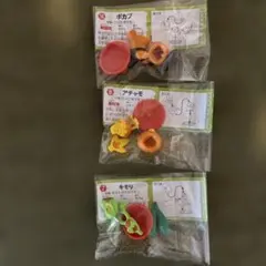 ポケットモンスターチョコエッグ　旅立ちの3匹　ポカブ　アチャモ　キモリ　ポケモン