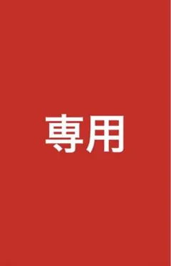 シン様　専用