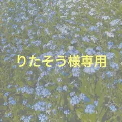 りたそう様専用