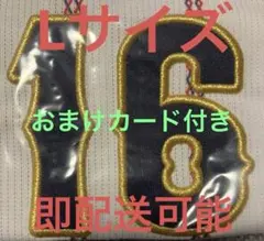 Mizuno 16 大谷翔平　カード付き　侍ジャパン　WBC ユニフォーム