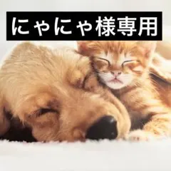 にゃにゃ様専用