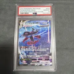 ポケモンカード　インテレオンvmax sa psa10
